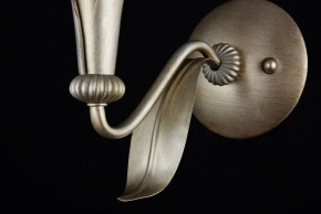 Бра Maytoni Lillian H311-01-G в Тюмени - tumen.mebel24.online | фото 7