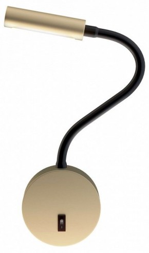 Бра Maytoni Stem C035WL-L3MG3K в Тюмени - tumen.mebel24.online | фото