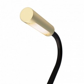 Бра Maytoni Stem C035WL-L3MG3K в Тюмени - tumen.mebel24.online | фото 6