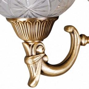 Бра MW-Light Афродита 2 317021902 в Тюмени - tumen.mebel24.online | фото 5
