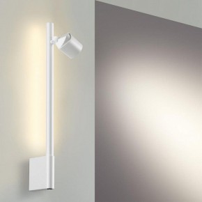 Бра Novotech FERMO 359312 в Тюмени - tumen.mebel24.online | фото 5