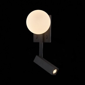Бра с подсветкой ST-Luce Botelli SL1581.401.02 в Тюмени - tumen.mebel24.online | фото