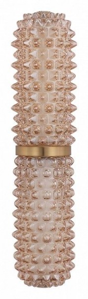 Бра ST-Luce SAGUARO SL6144.301.01 в Тюмени - tumen.mebel24.online | фото 4