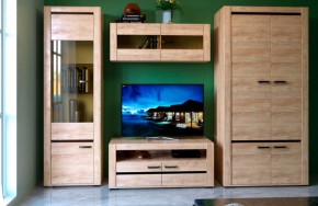 БЬЯНКА НКМ Гостинная (модульная) дуб баррик в Тюмени - tumen.mebel24.online | фото 1