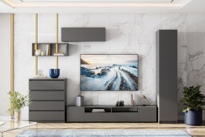 ДЕНВЕР Пенал (Графит серый) в Тюмени - tumen.mebel24.online | фото 4