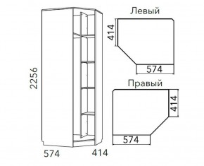 Детская Фанк Шкаф угловой Левый/Правый НМ 013.04-02 М в Тюмени - tumen.mebel24.online | фото 3