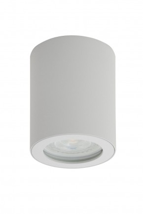 DK3007-WH Накладной светильник влагозащ., IP 44, 15 Вт, GU10, белый, алюминий в Тюмени - tumen.mebel24.online | фото 1