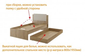 Дуглас подростковая (модульная) в Тюмени - tumen.mebel24.online | фото 5