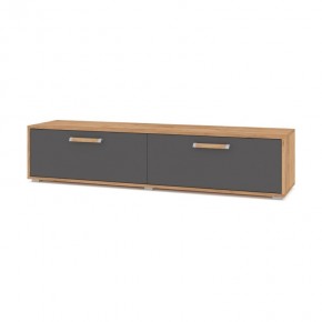 ФЛОРИДА Ф31 Тумба ТВ (дуб золотой/графит) в Тюмени - tumen.mebel24.online | фото