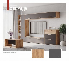 ФЛОРИДА Гостиная (модульная) дуб золотой/графит в Тюмени - tumen.mebel24.online | фото