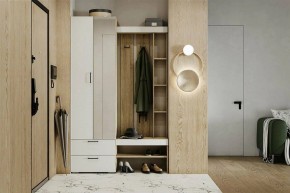 Гарнитур для прихожей Торонто в Тюмени - tumen.mebel24.online | фото 5