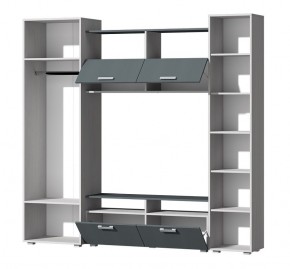 Гостиная Эмми (Анкор светлый/Графит) в Тюмени - tumen.mebel24.online | фото 3