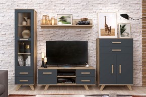 Гостиная Вега Скандинавия (комплект 7) в Тюмени - tumen.mebel24.online | фото 2