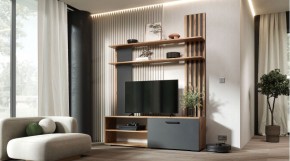 КАРОЛИНА Гостиная в Тюмени - tumen.mebel24.online | фото