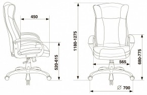Кресло для руководителя Бюрократ CH-879N в Тюмени - tumen.mebel24.online | фото