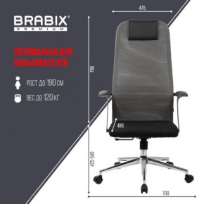 Кресло офисное BRABIX PREMIUM "Ultimate EX-801" хром, плотная двойная сетка Х2, черное/серое, 532918 в Тюмени - tumen.mebel24.online | фото 5