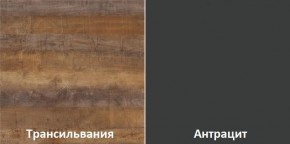 Кухонный гарнитур угловой Трансильвания 2600х1600 мм (Стол. 38 мм) в Тюмени - tumen.mebel24.online | фото 3