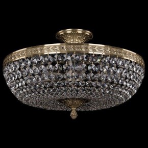 Люстра на штанге Bohemia Ivele Crystal 1911 19111/45IV Pa в Тюмени - tumen.mebel24.online | фото 2