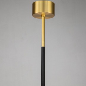 Люстра на штанге Favourite Maximo 2623-12P в Тюмени - tumen.mebel24.online | фото 7