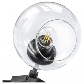 Люстра на штанге Lightstar Beta 785067 в Тюмени - tumen.mebel24.online | фото 9