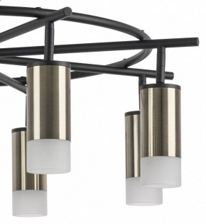 Люстра на штанге Lightstar Rullo LR7183181 в Тюмени - tumen.mebel24.online | фото 4