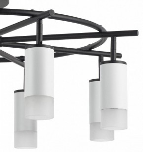 Люстра на штанге Lightstar Rullo LR7183681 в Тюмени - tumen.mebel24.online | фото 4