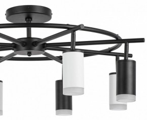 Люстра на штанге Lightstar Rullo LR7183743640 в Тюмени - tumen.mebel24.online | фото 4