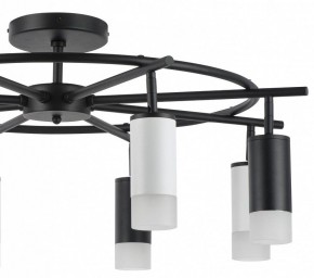 Люстра на штанге Lightstar Rullo LR7183743641 в Тюмени - tumen.mebel24.online | фото 4