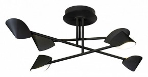 Люстра на штанге Mantra Capuccina 7581 в Тюмени - tumen.mebel24.online | фото 1