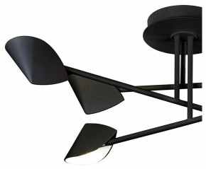 Люстра на штанге Mantra Capuccina 7581 в Тюмени - tumen.mebel24.online | фото 2