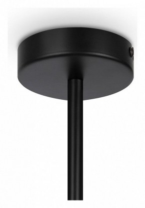 Люстра на штанге Maytoni Memory MOD177PL-04B в Тюмени - tumen.mebel24.online | фото 4