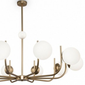 Люстра на штанге Maytoni Rendez-vous MOD109PL-10BS в Тюмени - tumen.mebel24.online | фото 3