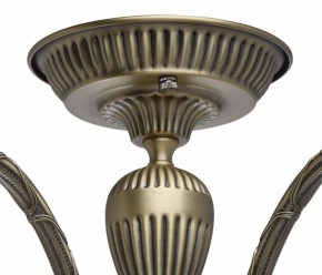 Люстра на штанге MW-Light Аманда 6 481011805 в Тюмени - tumen.mebel24.online | фото 10