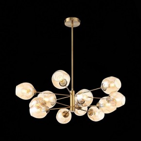 Люстра на штанге ST-Luce Fovia SL1500.203.12 в Тюмени - tumen.mebel24.online | фото 4