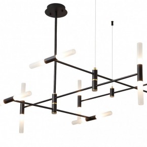 Люстра на штанге ST-Luce  SL1216.403.16 в Тюмени - tumen.mebel24.online | фото 3