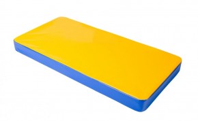 Мат гимнастический 1х0,5х0,08м цв. синий-желтый в Тюмени - tumen.mebel24.online | фото 1