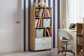 МИЛАН Детская (Дуб Золотой/Белый матовый) в Тюмени - tumen.mebel24.online | фото 53