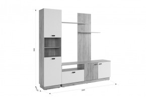 МОДИ Гостиная (модульная) белое дерево в Тюмени - tumen.mebel24.online | фото 2