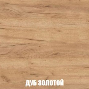 МСП-1 Шкаф 2-х створчатый (Дуб Золотой/Камень темный) в Тюмени - tumen.mebel24.online | фото 4