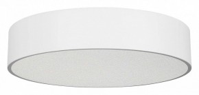 Накладной светильник Arlight TOR PILL 022108(3) в Тюмени - tumen.mebel24.online | фото