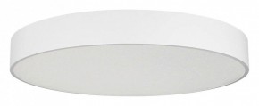 Накладной светильник Arlight TOR PILL 022132(4) в Тюмени - tumen.mebel24.online | фото