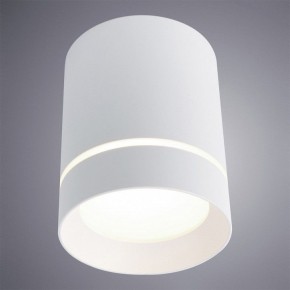 Накладной светильник Arte Lamp Elle A1949PL-1WH в Тюмени - tumen.mebel24.online | фото 2