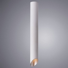 Накладной светильник Arte Lamp Pilon-Silver A1537PL-1WH в Тюмени - tumen.mebel24.online | фото 2