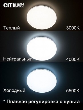 Накладной светильник Citilux Симпла CL714330G в Тюмени - tumen.mebel24.online | фото 4