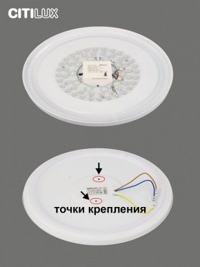 Накладной светильник Citilux Симпла CL714480G в Тюмени - tumen.mebel24.online | фото 10