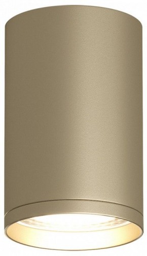 Накладной светильник Denkirs TUBE DK2050-SG в Тюмени - tumen.mebel24.online | фото 2