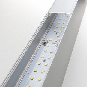 Накладной светильник Elektrostandard Grand a041480 в Тюмени - tumen.mebel24.online | фото 2