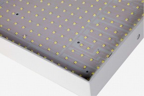 Накладной светильник Favourite Flashled 2066-30C в Тюмени - tumen.mebel24.online | фото 2