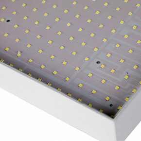 Накладной светильник Favourite Flashled 2066-30C в Тюмени - tumen.mebel24.online | фото 4