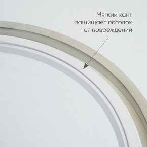 Накладной светильник Feron AL6200 48068 в Тюмени - tumen.mebel24.online | фото 5